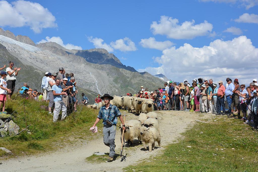 Chalet Bel-haex Blatten bei Naters